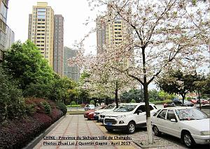 Chengdu avril 2017 - 003